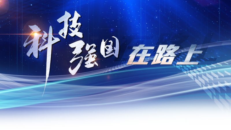 医疗数据服务方案分类：探索高效信息管理之道