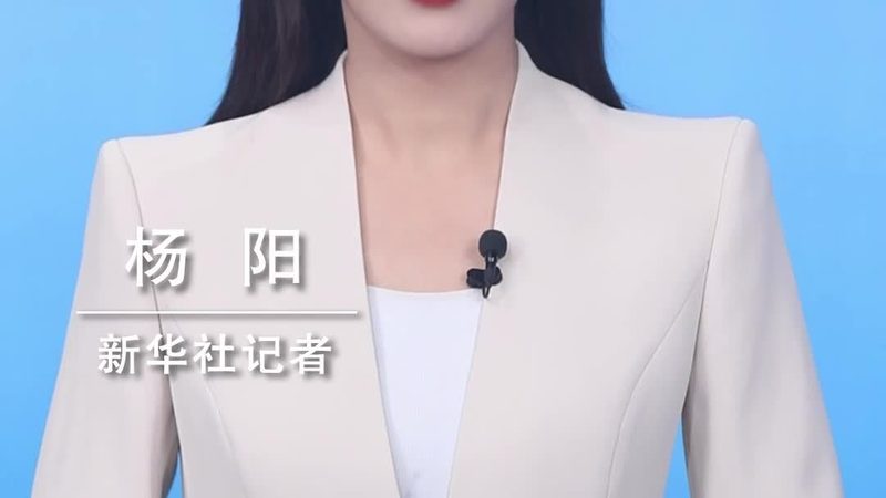 仓储物流WMS信息化建设：关键要素与实施路径